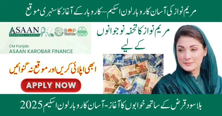 Amazing Relief or Just Hype? Asan Karobar Loan Scheme Online Apply 5 cm punjab Asaan karobar scheme 2025
