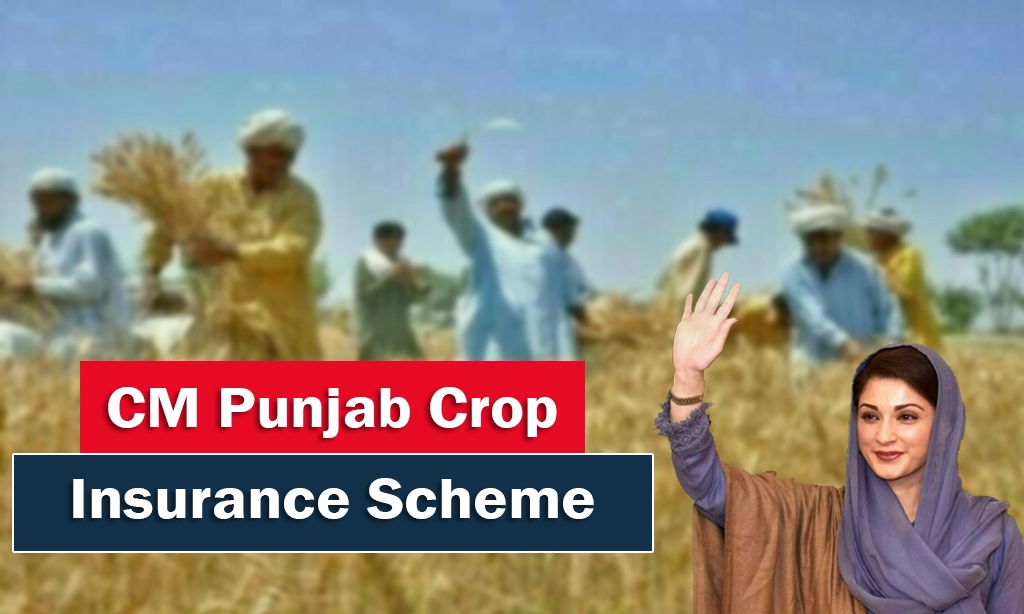 CM Punjab Crop Life Insurance Scheme 2025, You have to take it, don't delay 1 what is CM Punjab Crop Life Insurance Scheme 2025