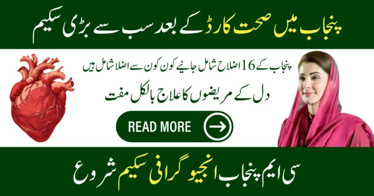 CM Punjab Free Angiography Program 2025 6 CM Punjab Free Angiography Program 2025