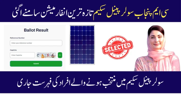 how to apply in CM Punjab Solar Panel Scheme 2025