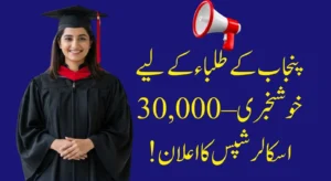 30,000 Scholarships Announced for Punjab Students in 2025 – Including Honhaar Scholarship Phases! 8 30000 Scholarships Announced for Punjab Students in 2025