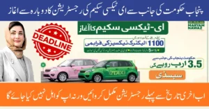 CM Punjab Maryam Nawaz E-Taxi Scheme 2025: Full Details, Updated Features & How to Apply 5 CM Punjab Maryam Nawaz E-Taxi Scheme 2025: Full Details, Updated Features & How to Apply