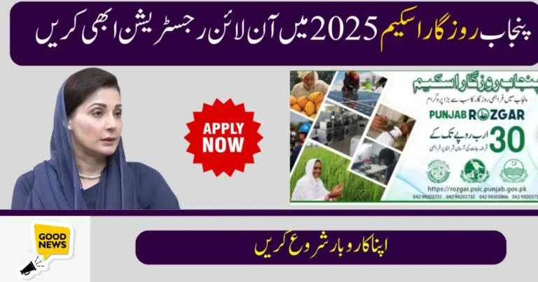 CM Punjab Rozgar Scheme 2025: New Updates and What You must know 2 CM Punjab Rozgar Scheme 2025