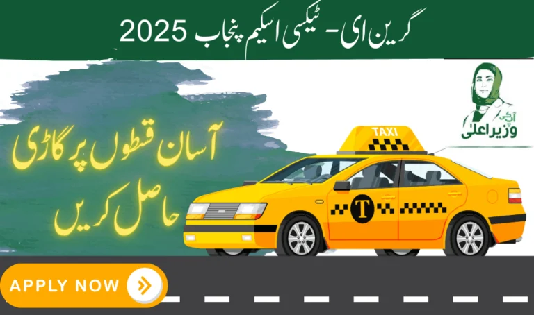 Punjab e-Taxi Scheme 2025