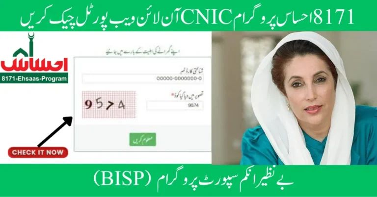 BISP Ehsaas 8171 Online Check 2025 How to Verify Your CNIC and Payment Status 6 BISP Ehsaas 8171 Online Check 2025