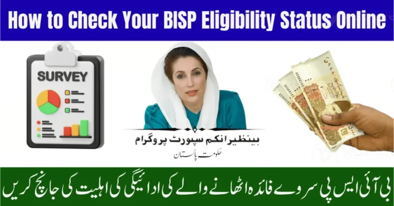Complete Guide to BISP Survey 2025 and Payment 13,500 Eligibility 3 BISP Survey 2025 Payment Eligibility
