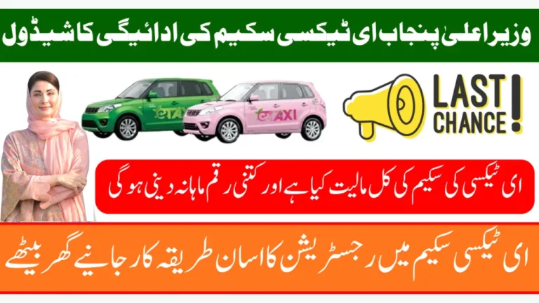 CM Punjab E-Taxi Scheme 2025