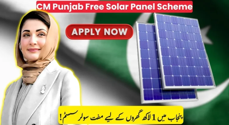 CM Punjab Solar Panel Scheme APPLICATION 2025