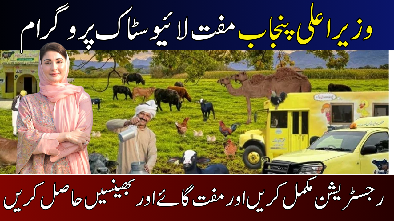 Punjab Livestock Distribution Program 2025: Free Cows and Buffaloes in 12 Districts 1 Livestock Distribution Program Punjab in 12 Districts Free Cows and Buffaloes